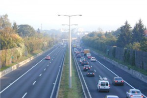 Köer på en Stadtautobahn